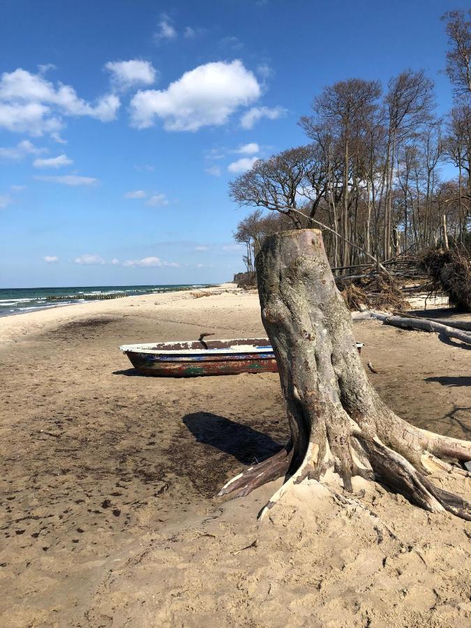 Ferienwohnung Kwi 63 Og Graal-Mueritz Exteriör bild